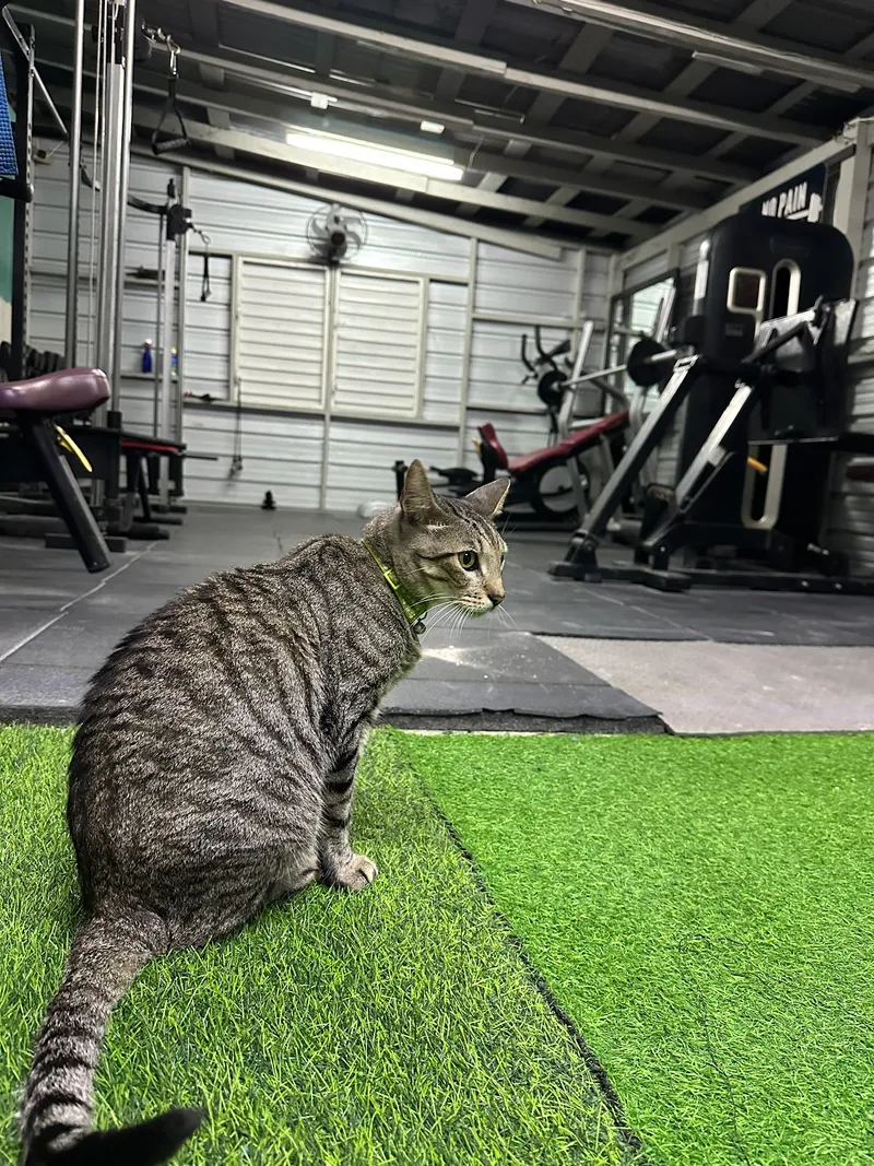 Islands Trident Gym photo 4