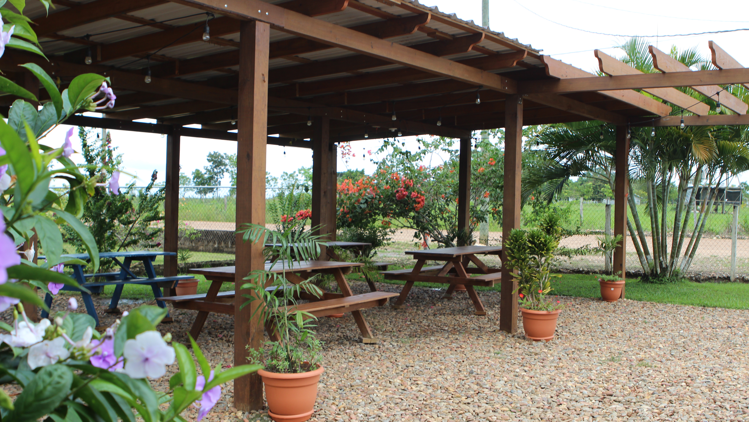 Marlyn's Restaurant photo 3