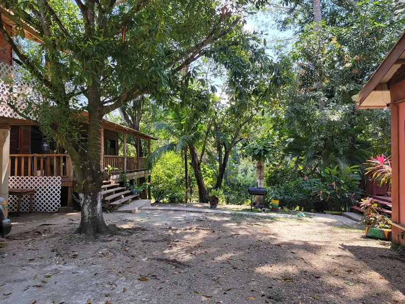 Bullet Tree Falls Lodge