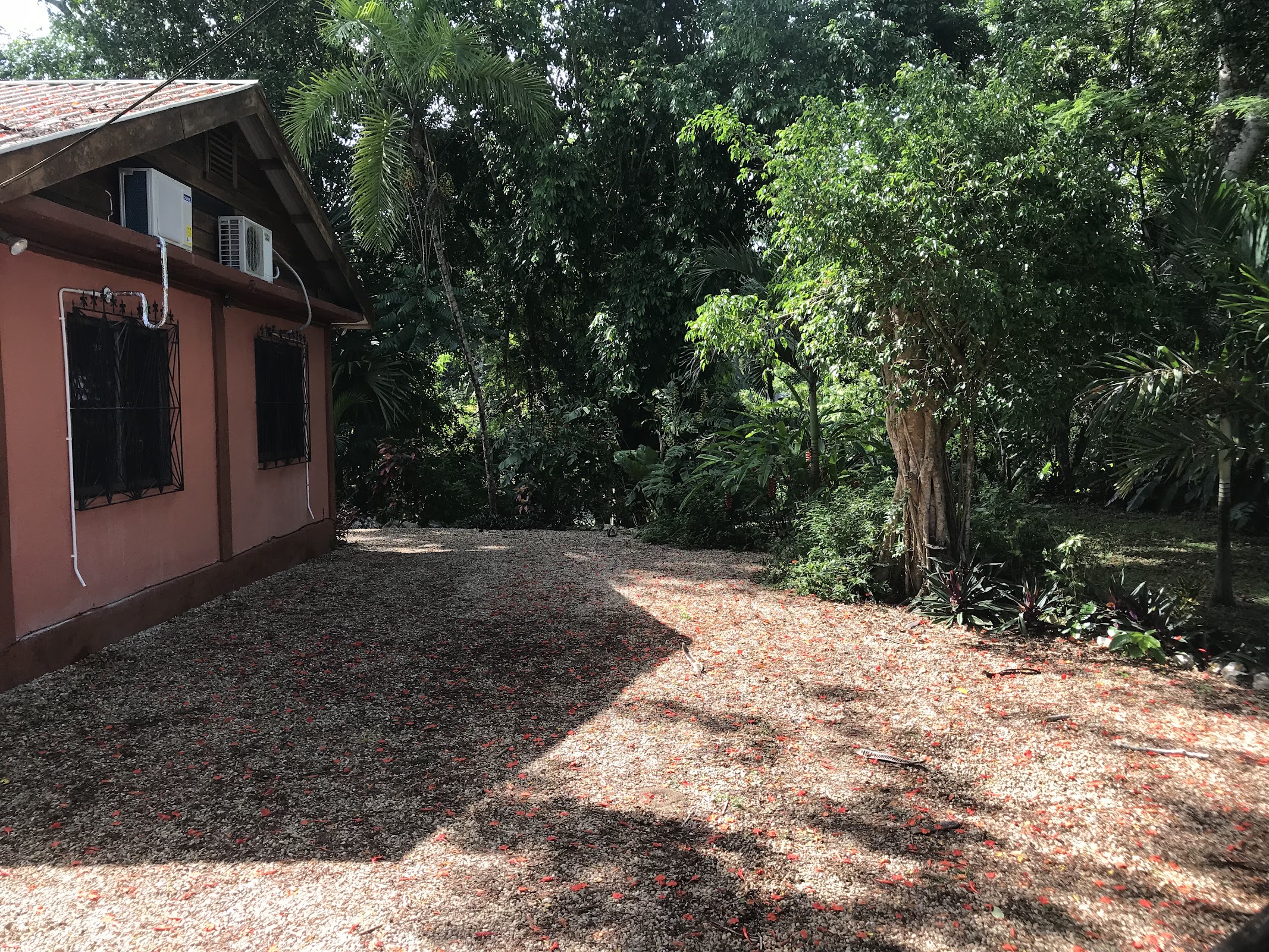 Bullet Tree Falls Lodge photo 2