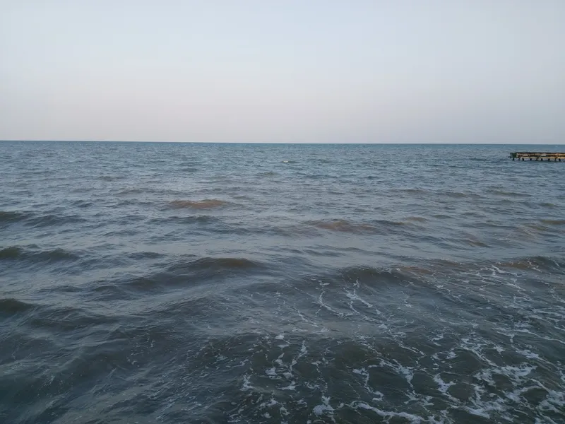UNO photo 3