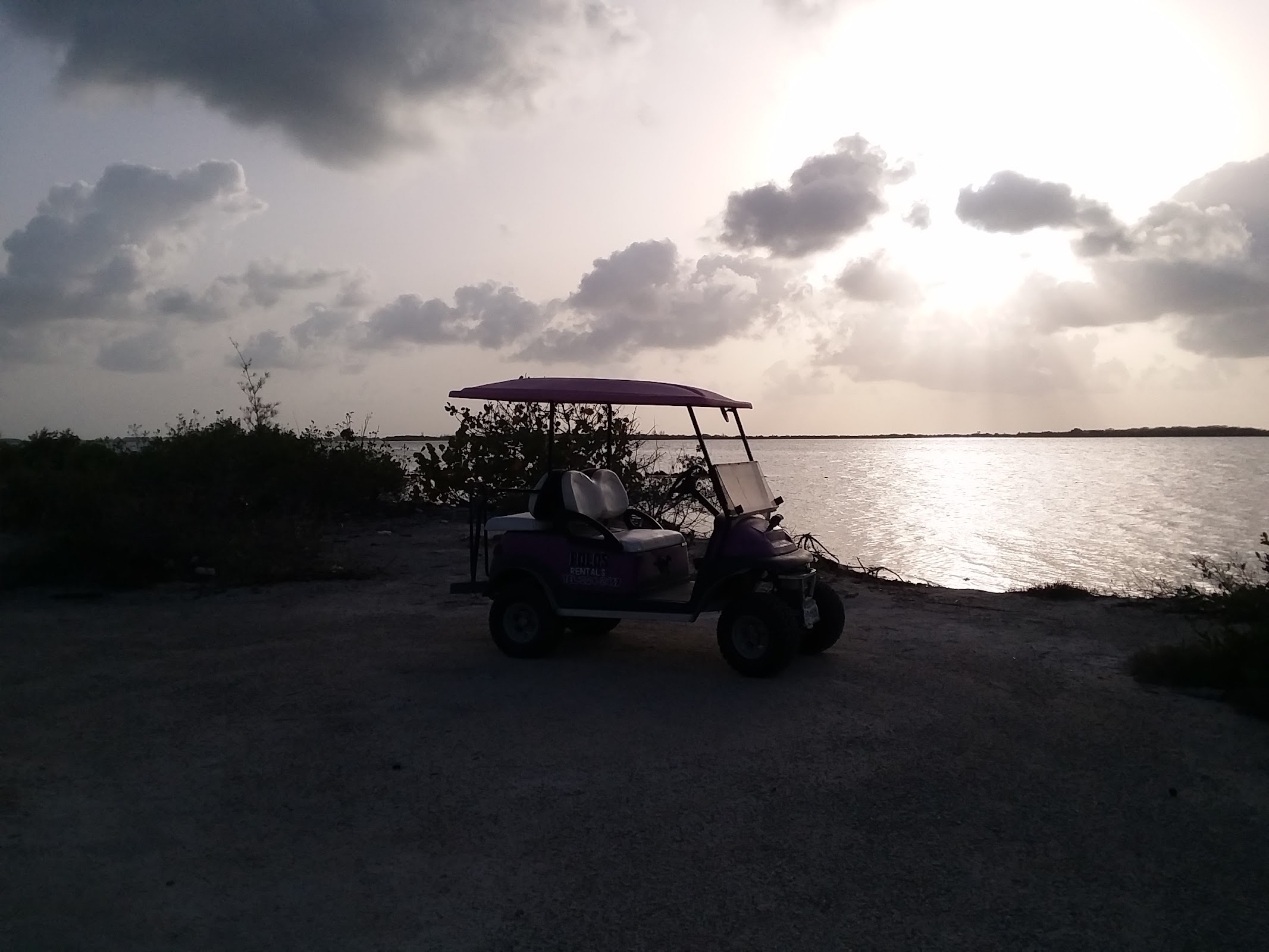 Polo's Golf Cart Rentals photo 4