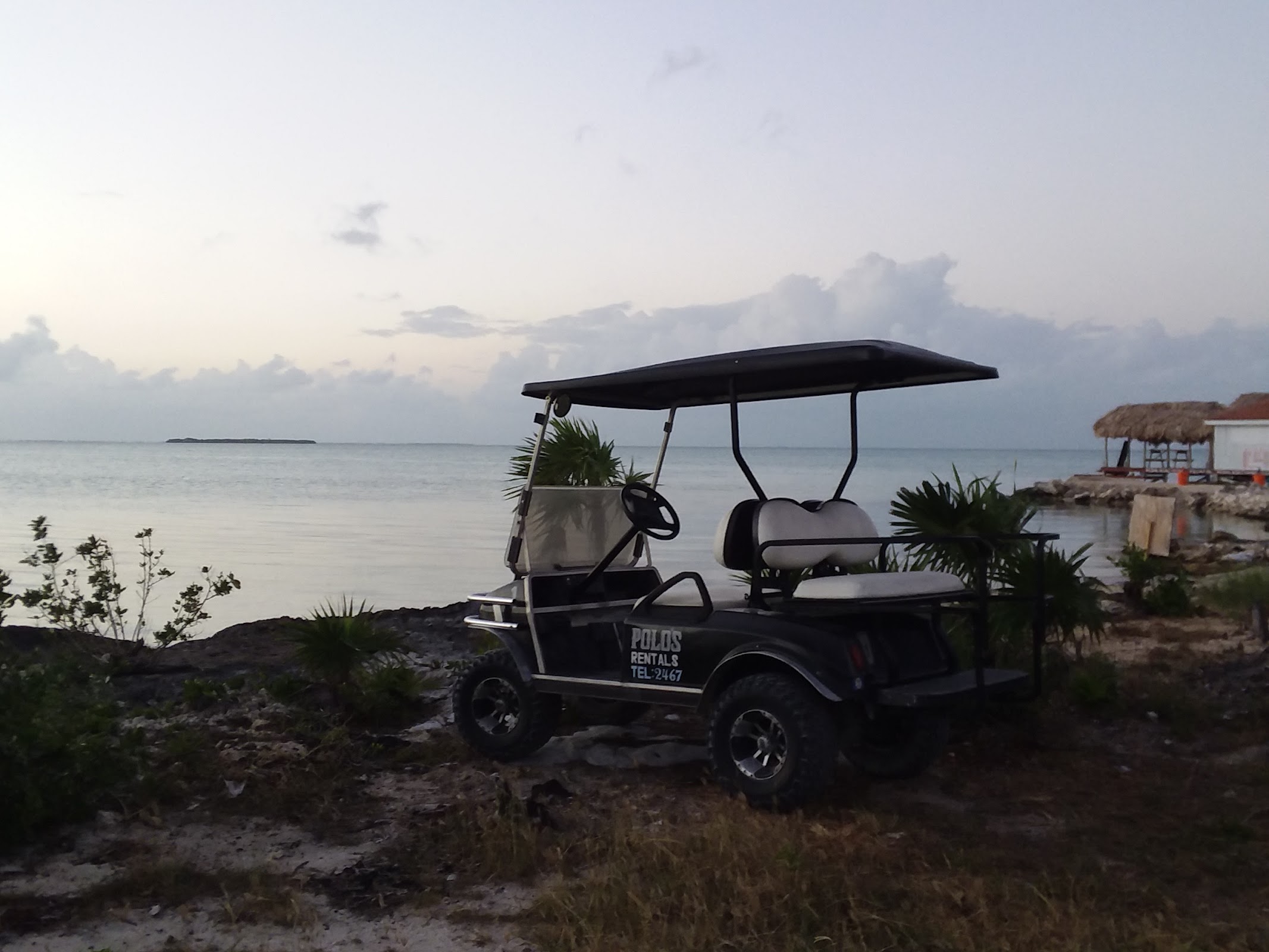 Polo's Golf Cart Rentals photo 5