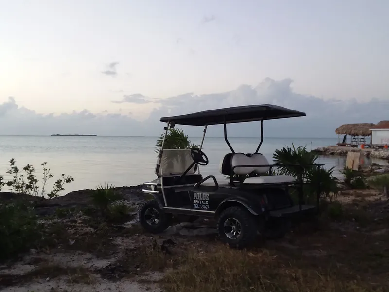 Polo's Golf Cart Rentals photo 5