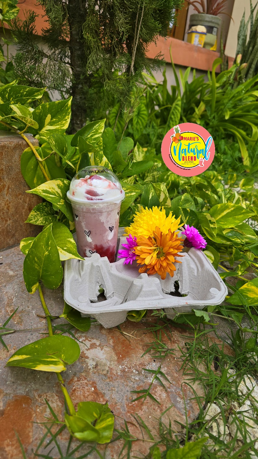 Marie's Natural Blend photo 5