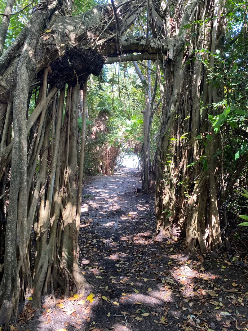 Ponciana Park