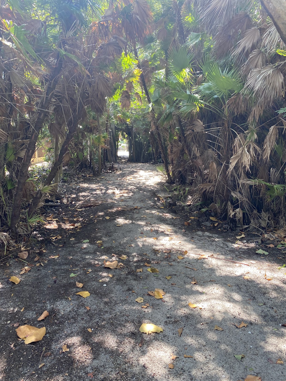 Ponciana Park photo 7