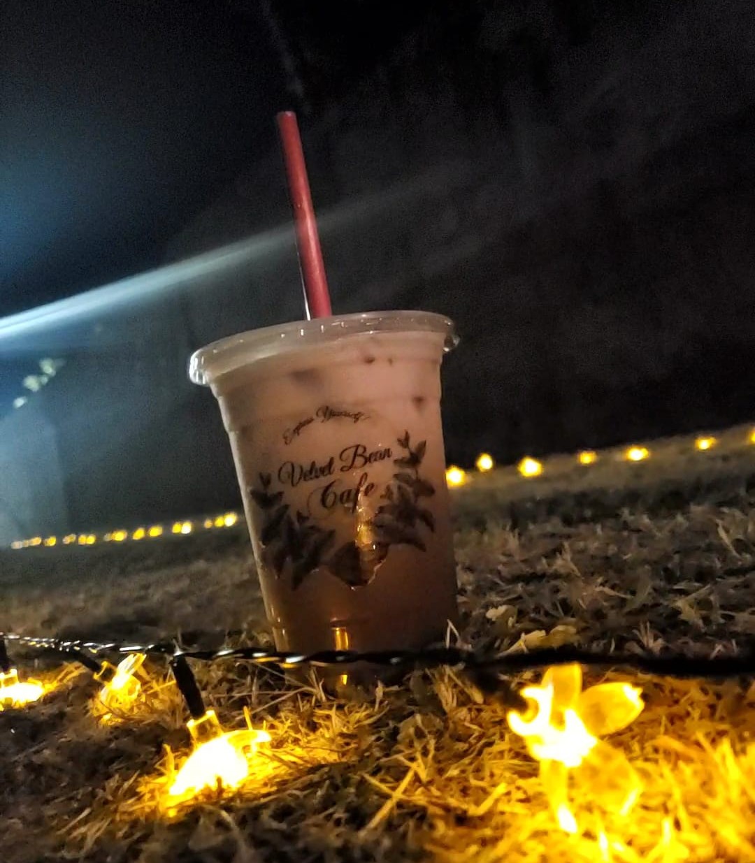 Velvet Bean Café photo 6