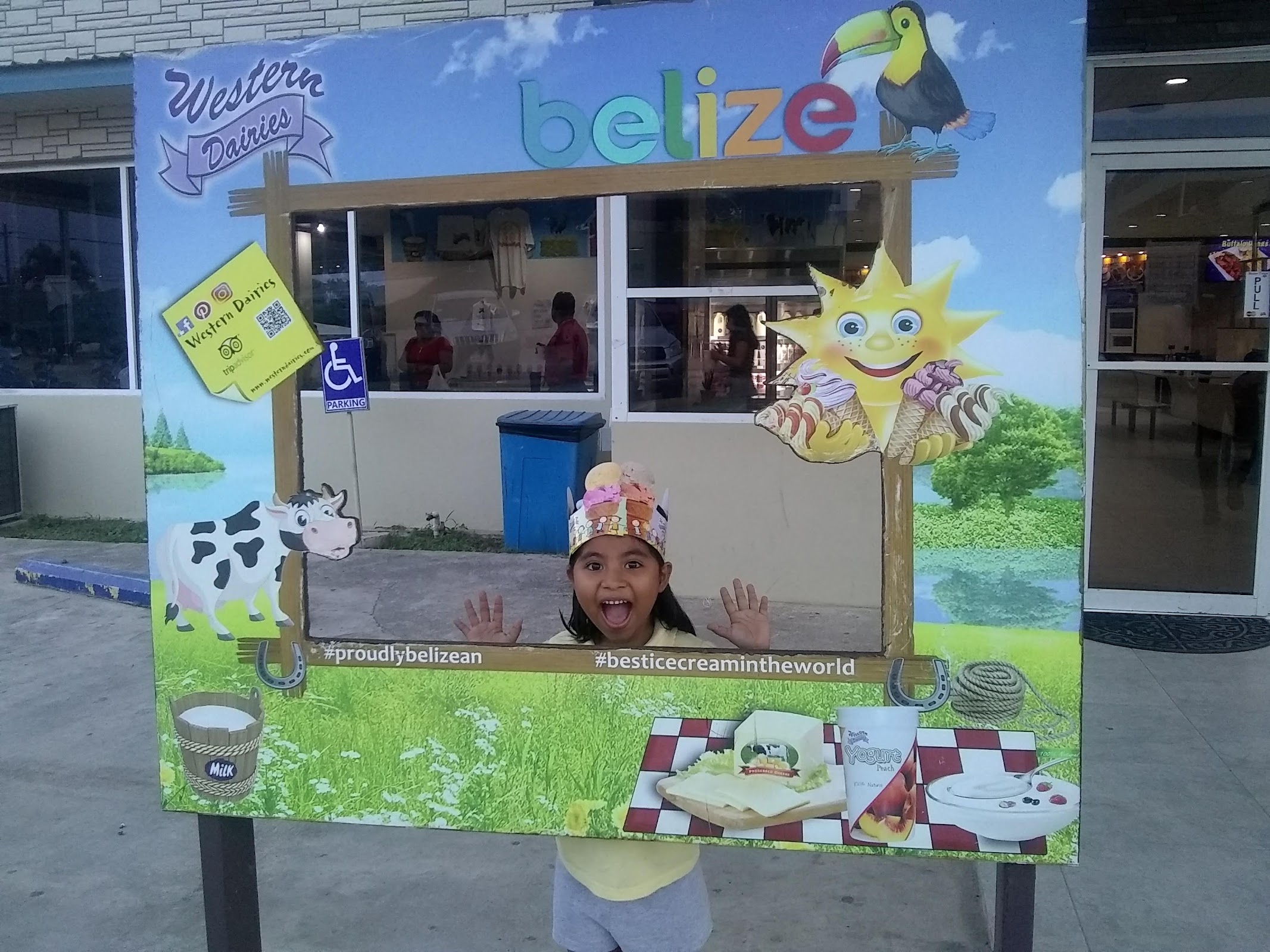 Western Dairies photo 8