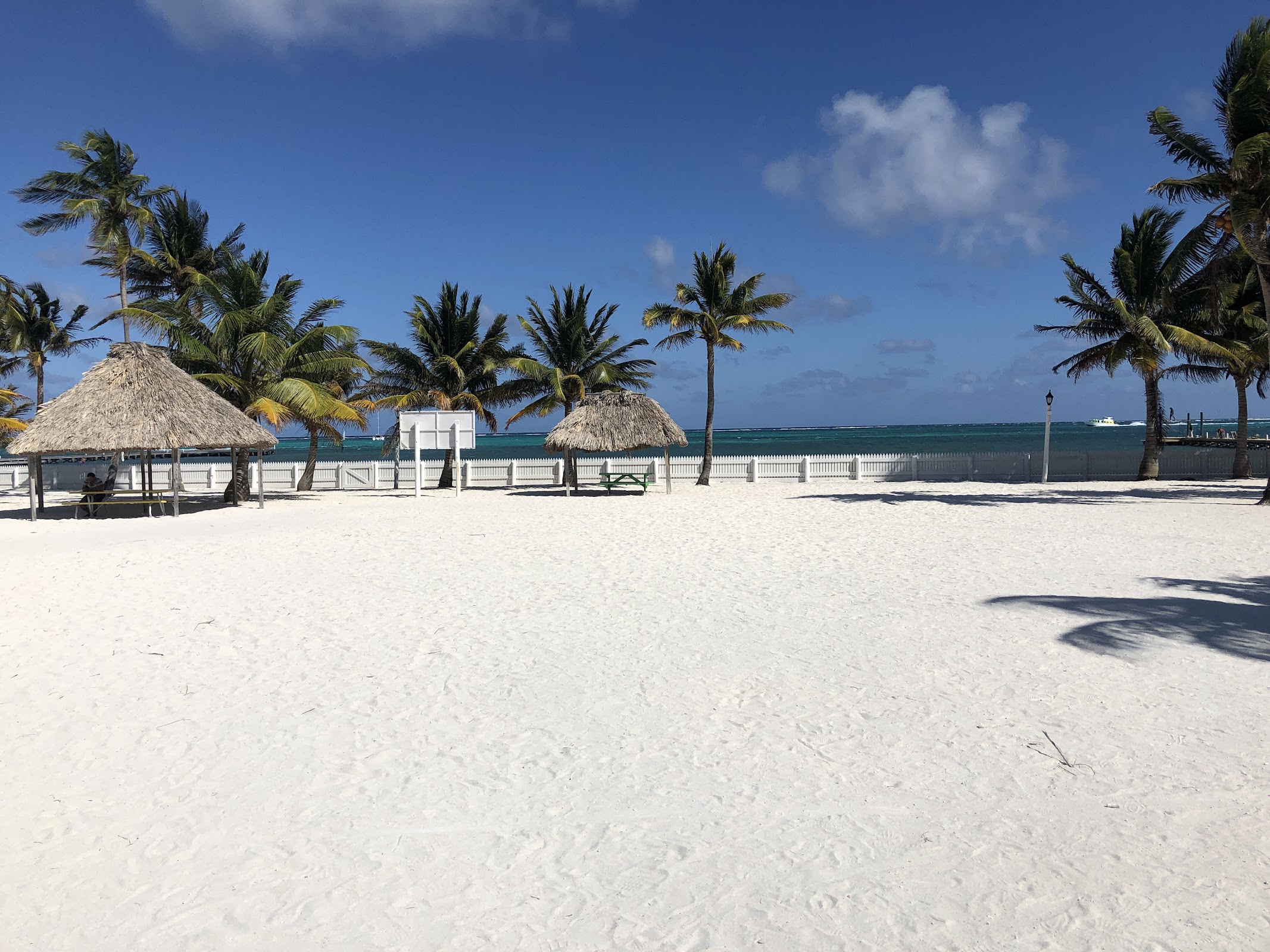 The Island Academy photo 3