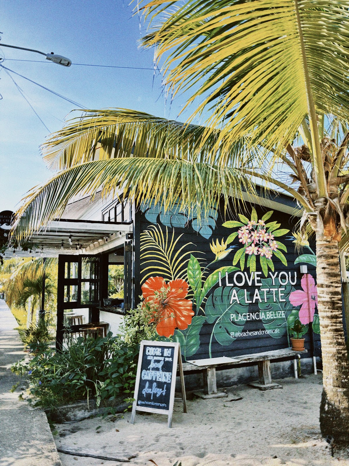 Beaches and Cream Cafe photo 4