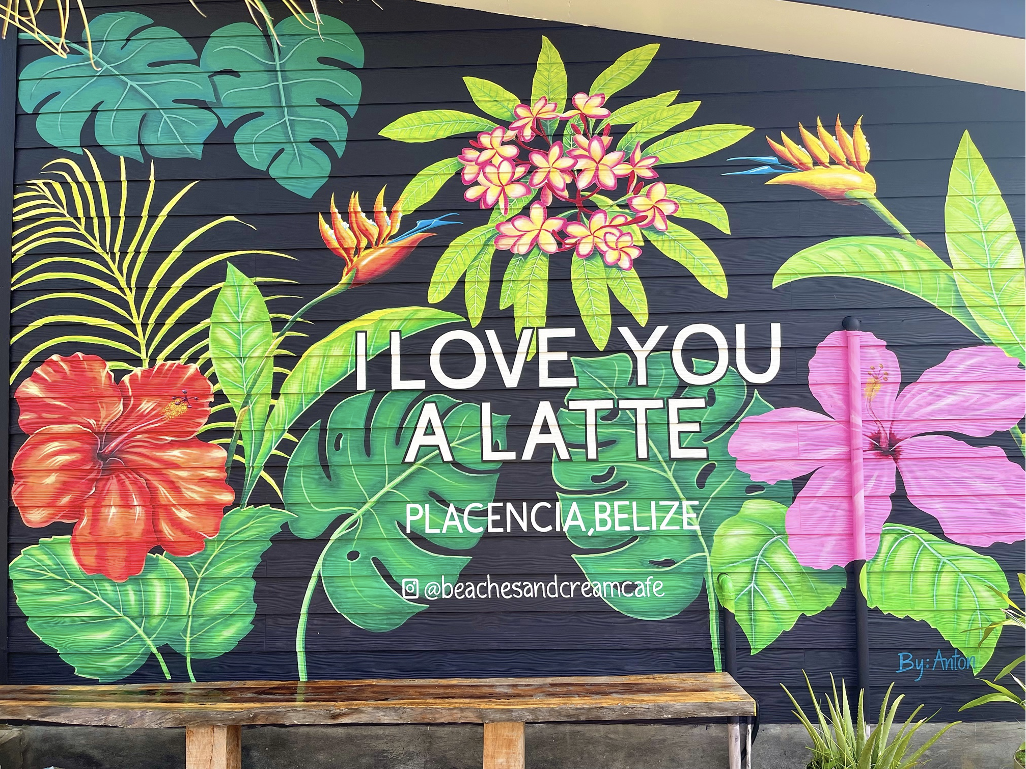 Beaches and Cream Cafe photo 3