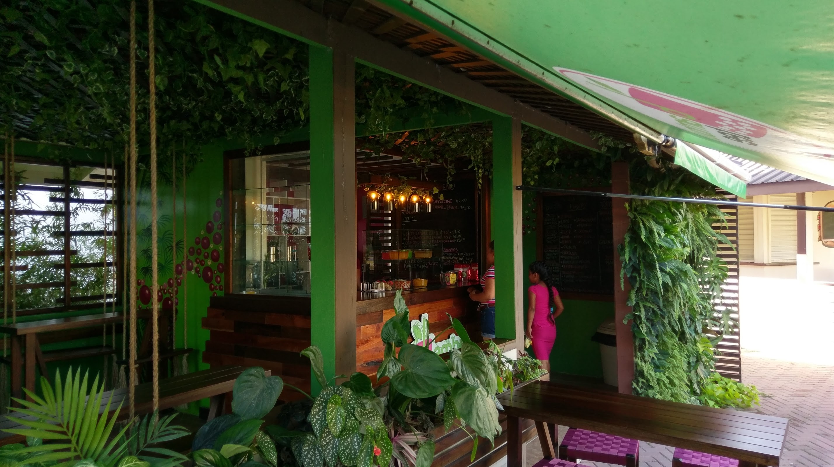 Bambu photo 5