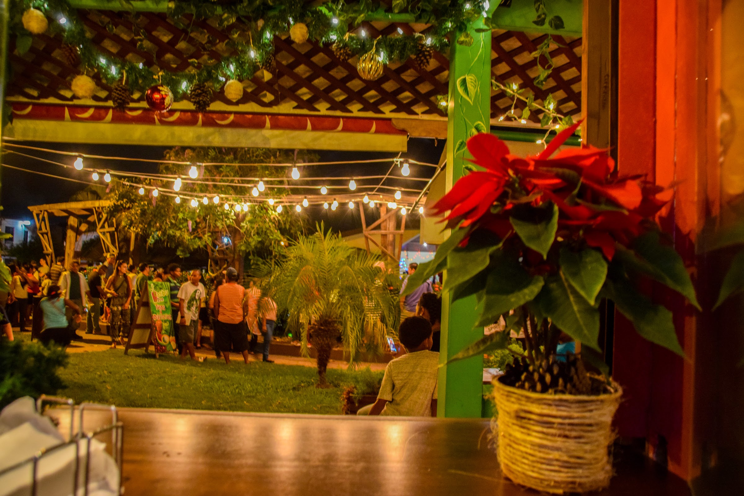 Bambu photo 6