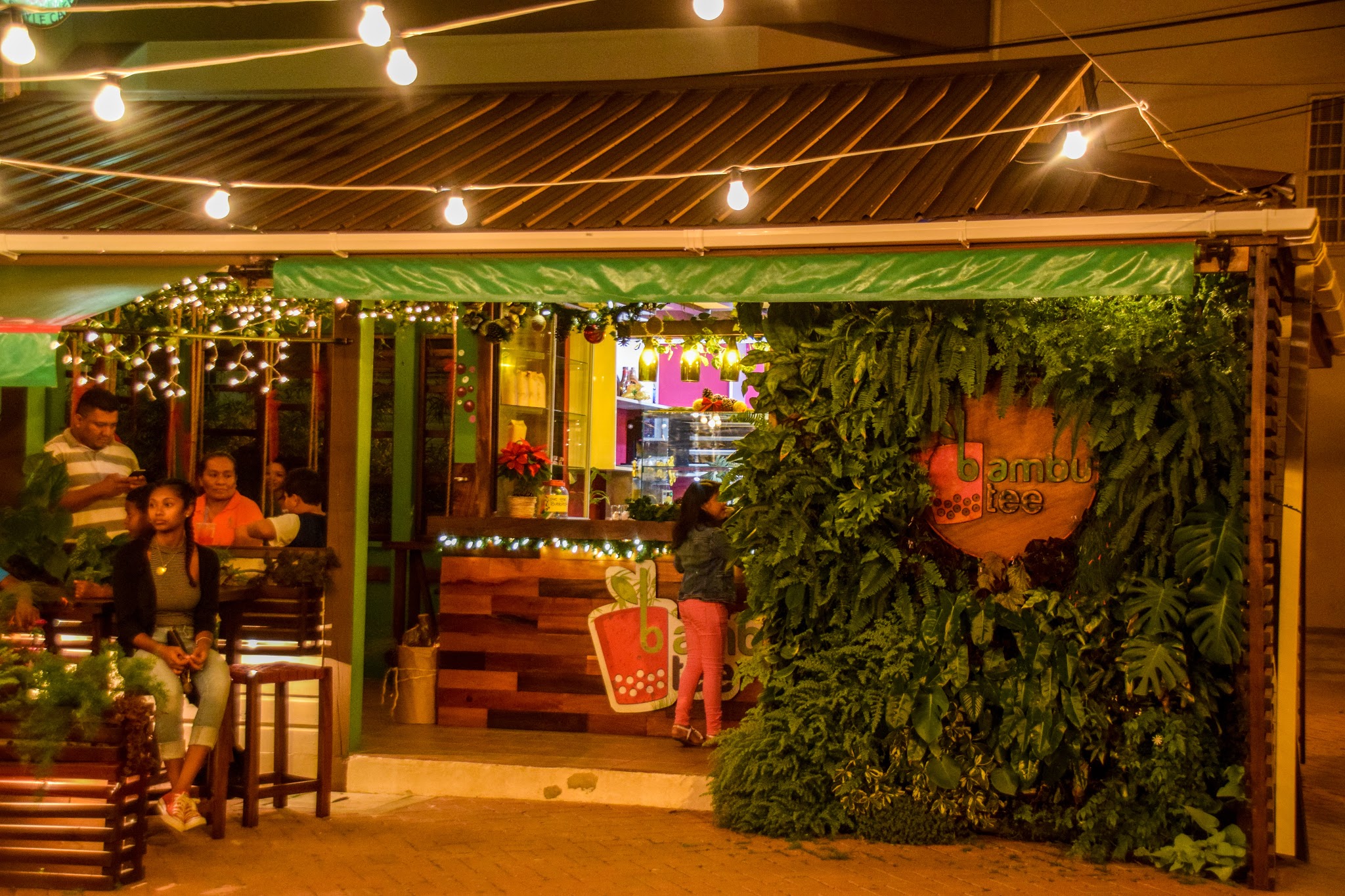 Bambu photo 4
