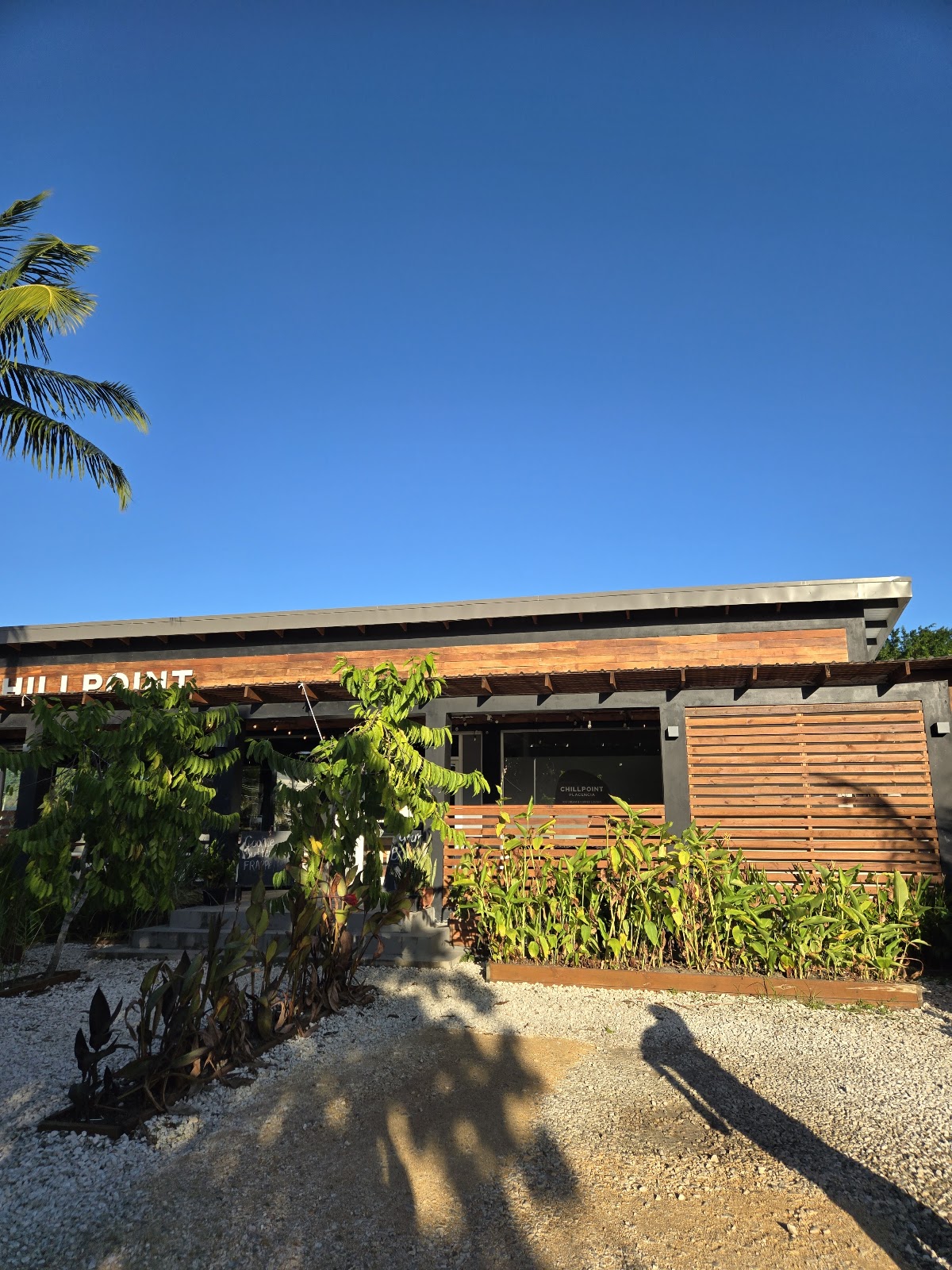 Chillpoint Placencia - Ice Cream, Coffee & Wine Lounge photo 8