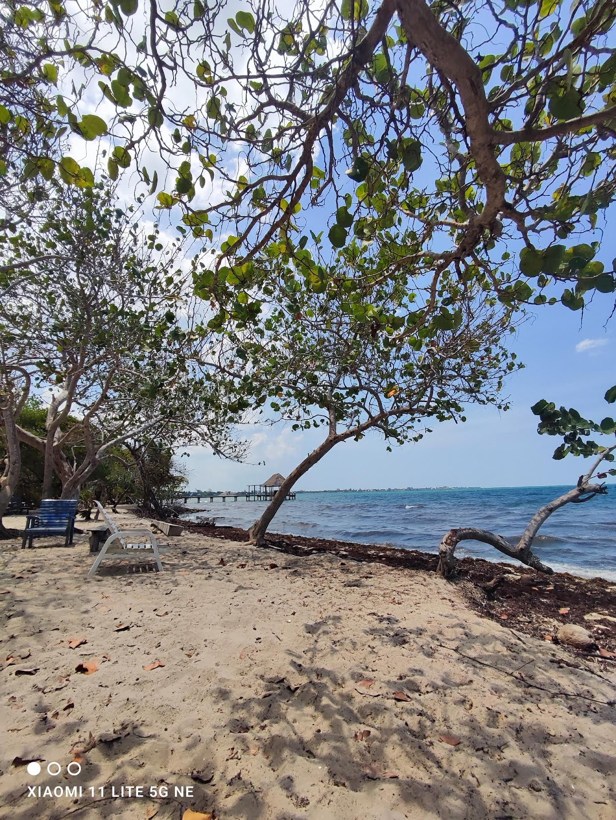 Maya Beach Park photo 7