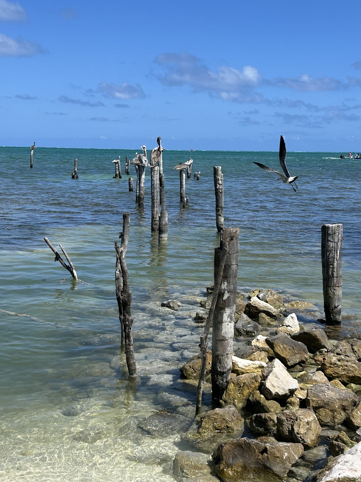 Caye Caulker Sign