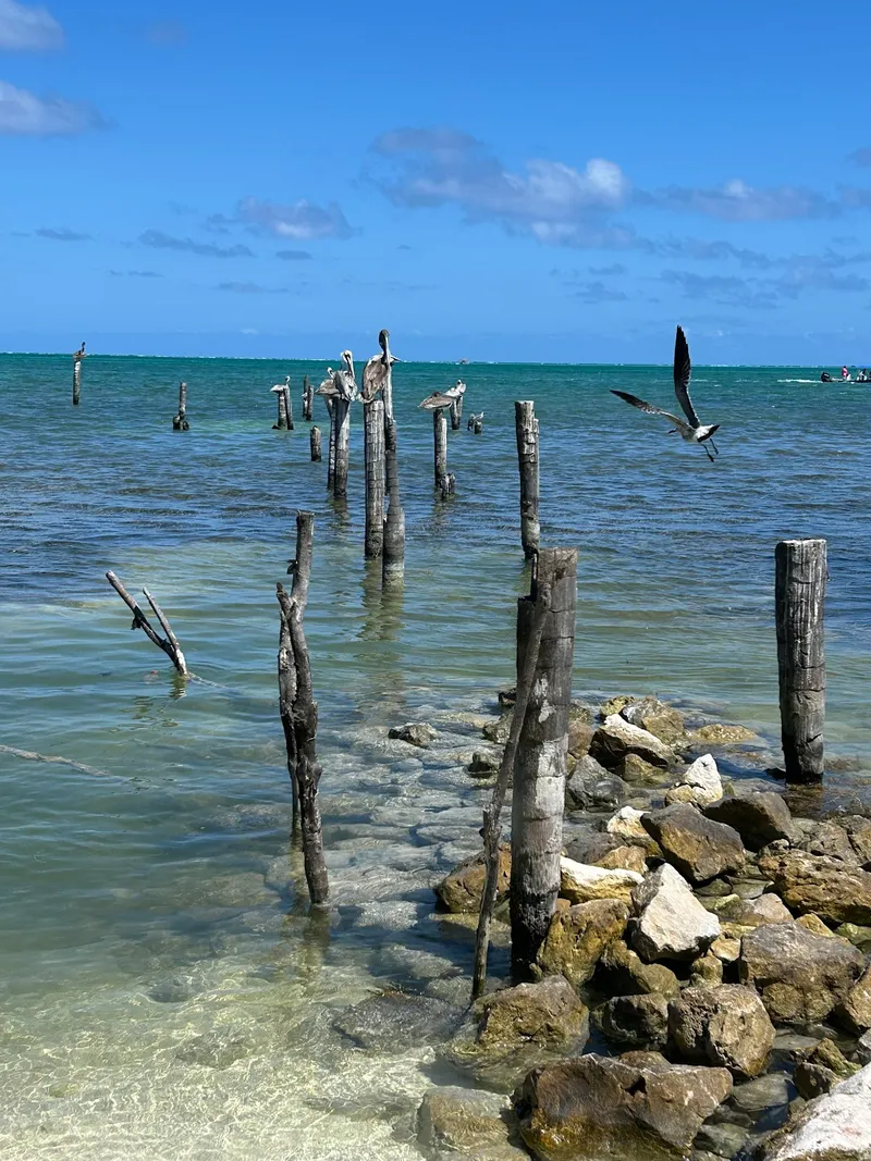 Caye Caulker Sign