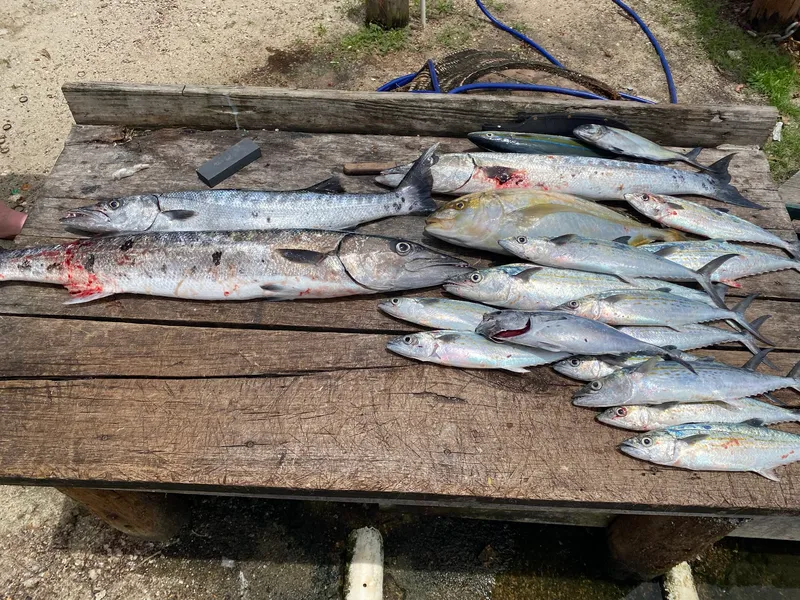 Caye Element photo 2