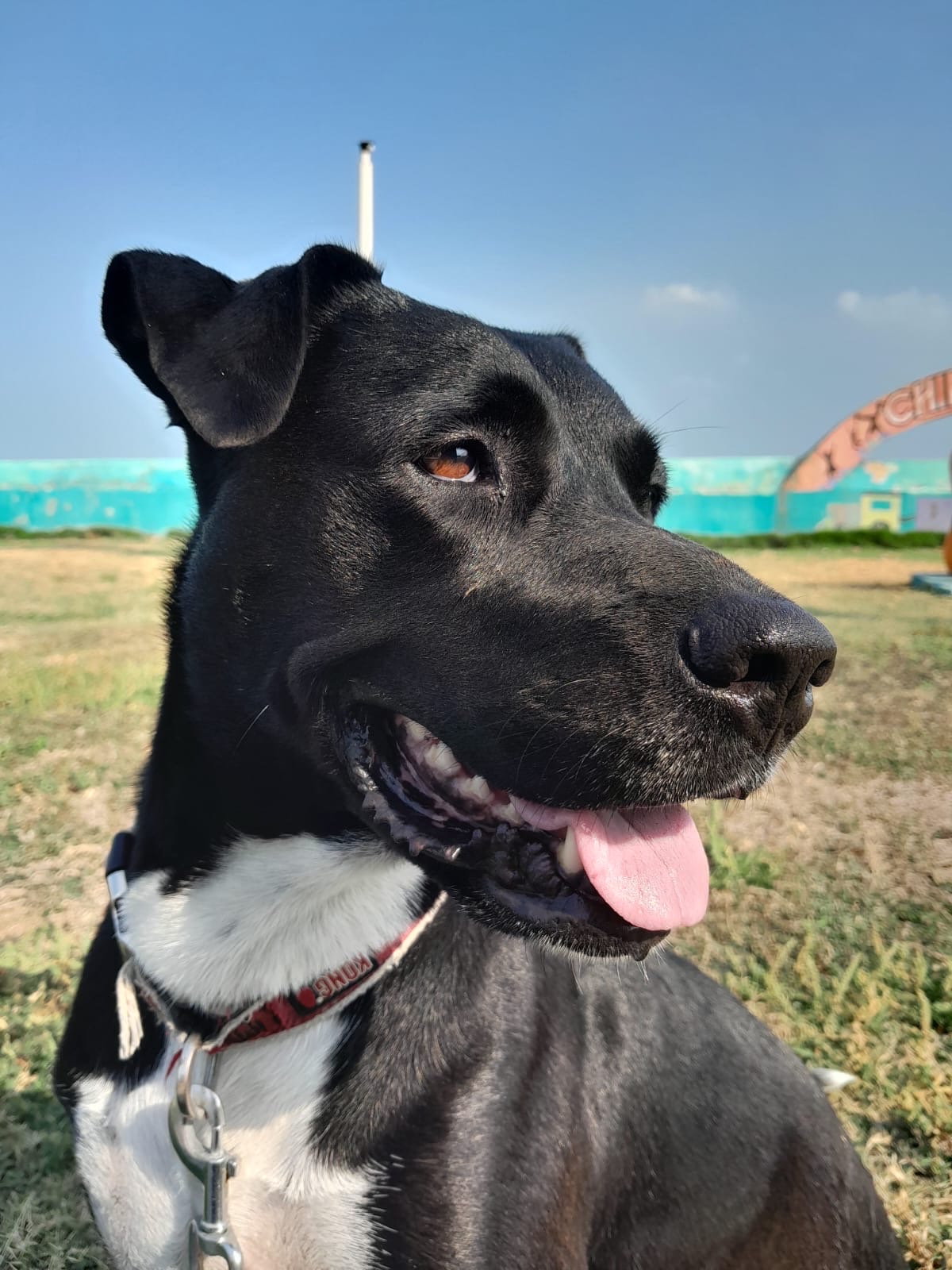 Corozal photo 2