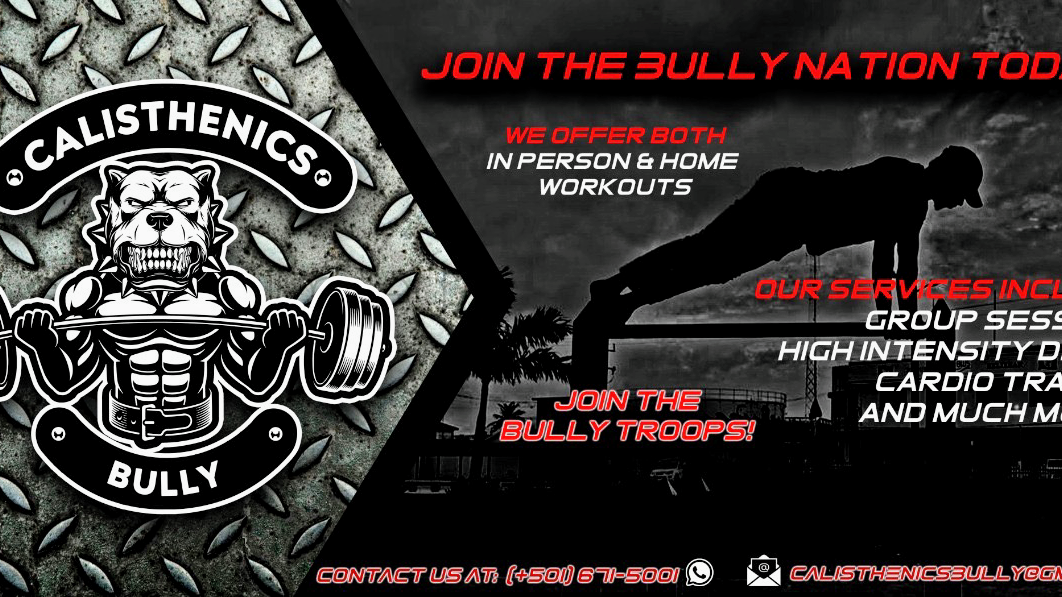 Calisthenics Bully photo 6