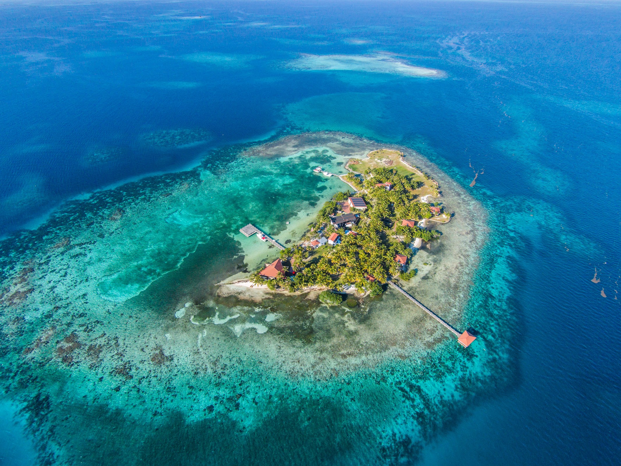Ray Caye Island Resort photo 4