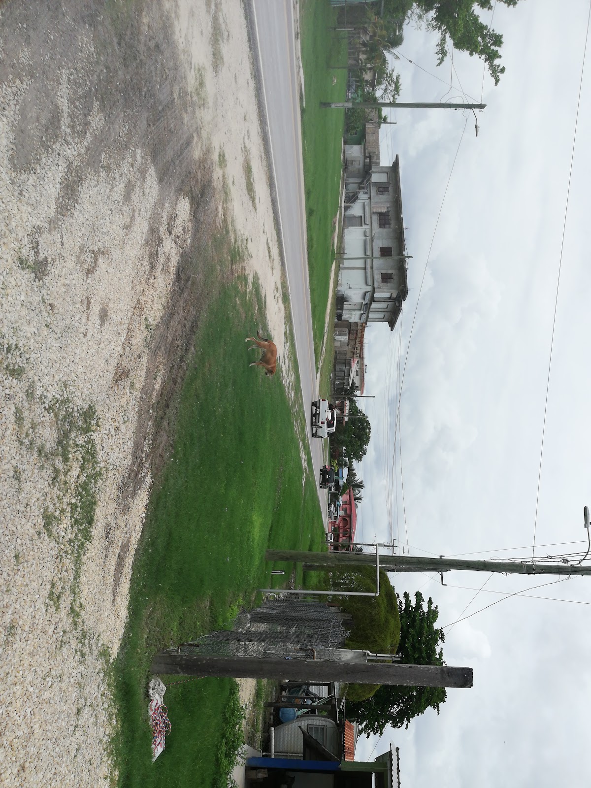 Gas Tomza photo 4