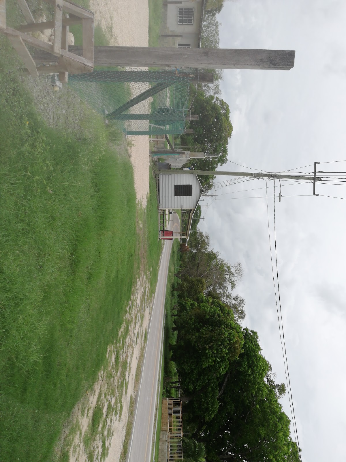Gas Tomza photo 7