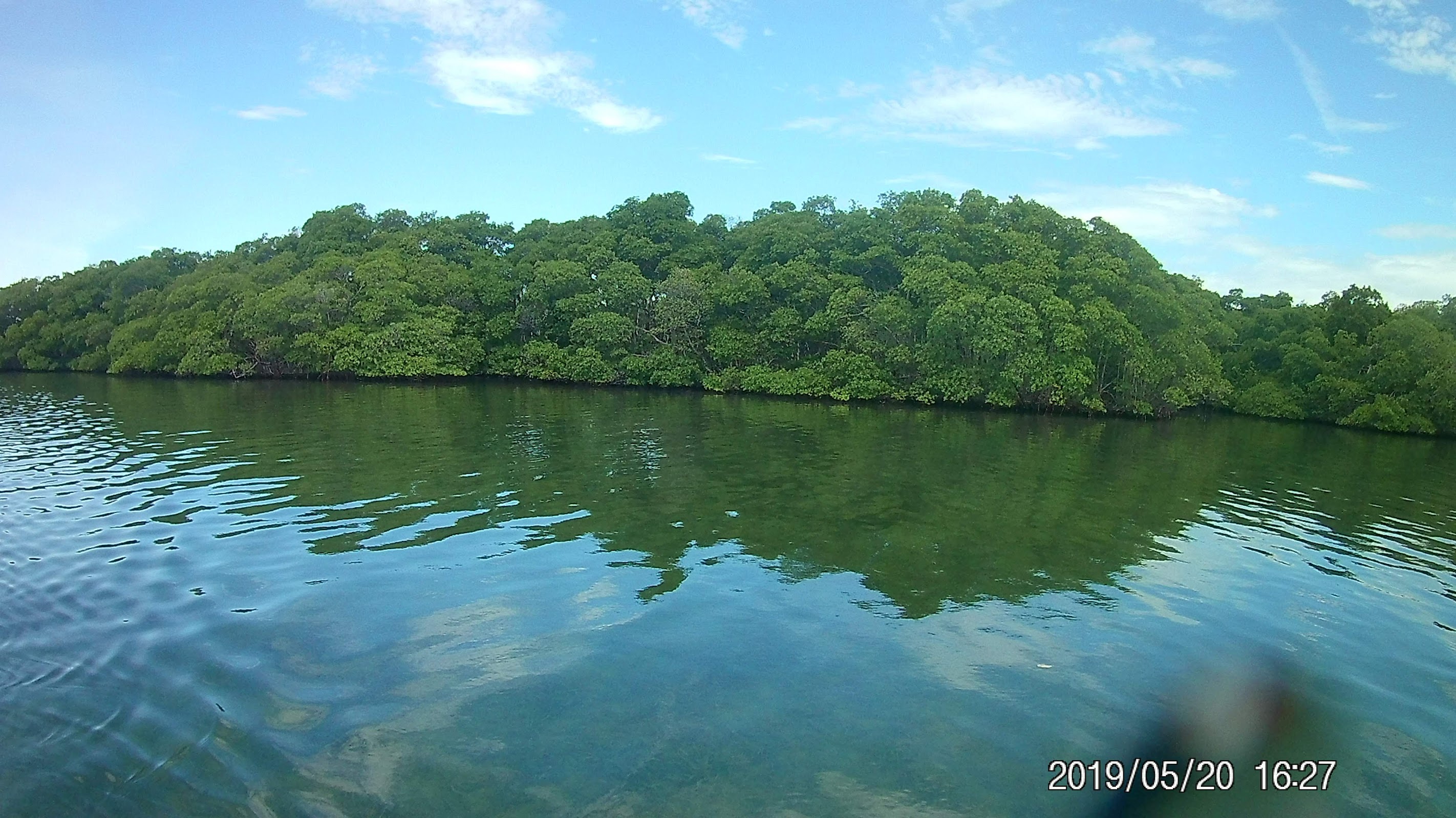 Friends of Swallow Caye photo 6