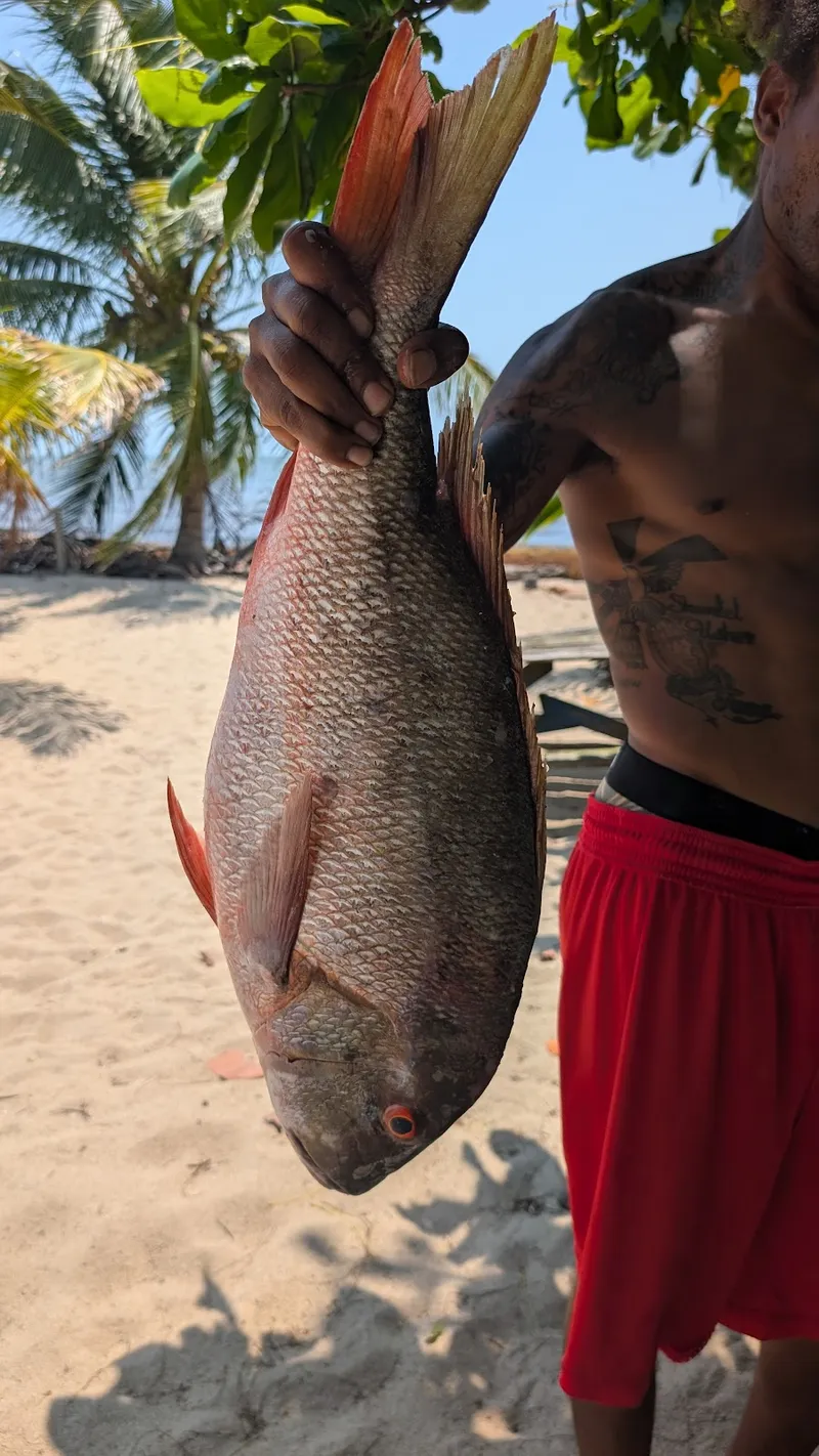 Fresh Catch Delivery