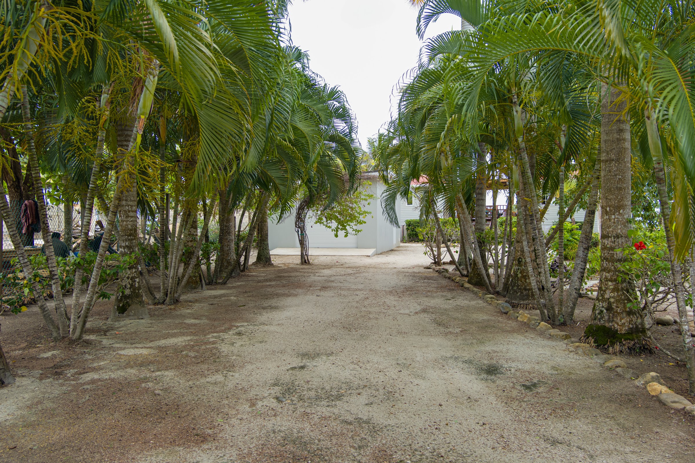 Praya Belize Beach photo 4