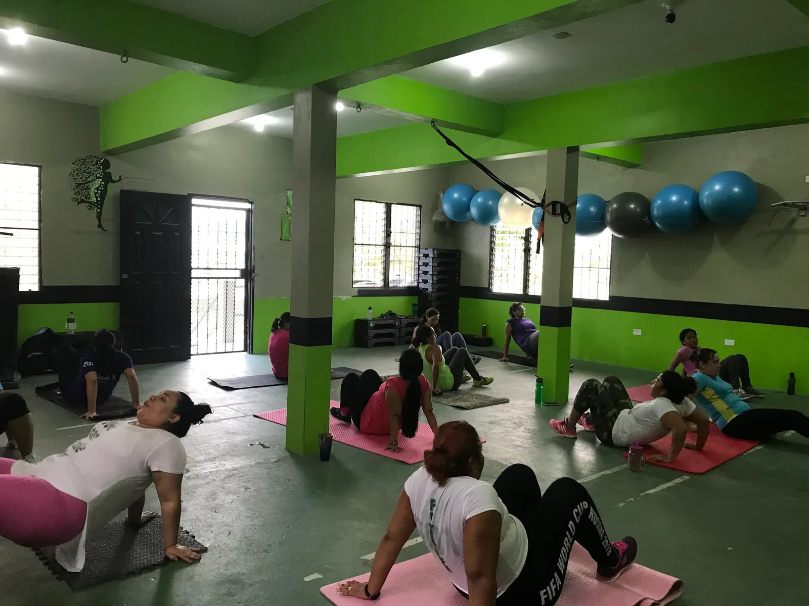 FitLife501 Nutrition & Fitness Club