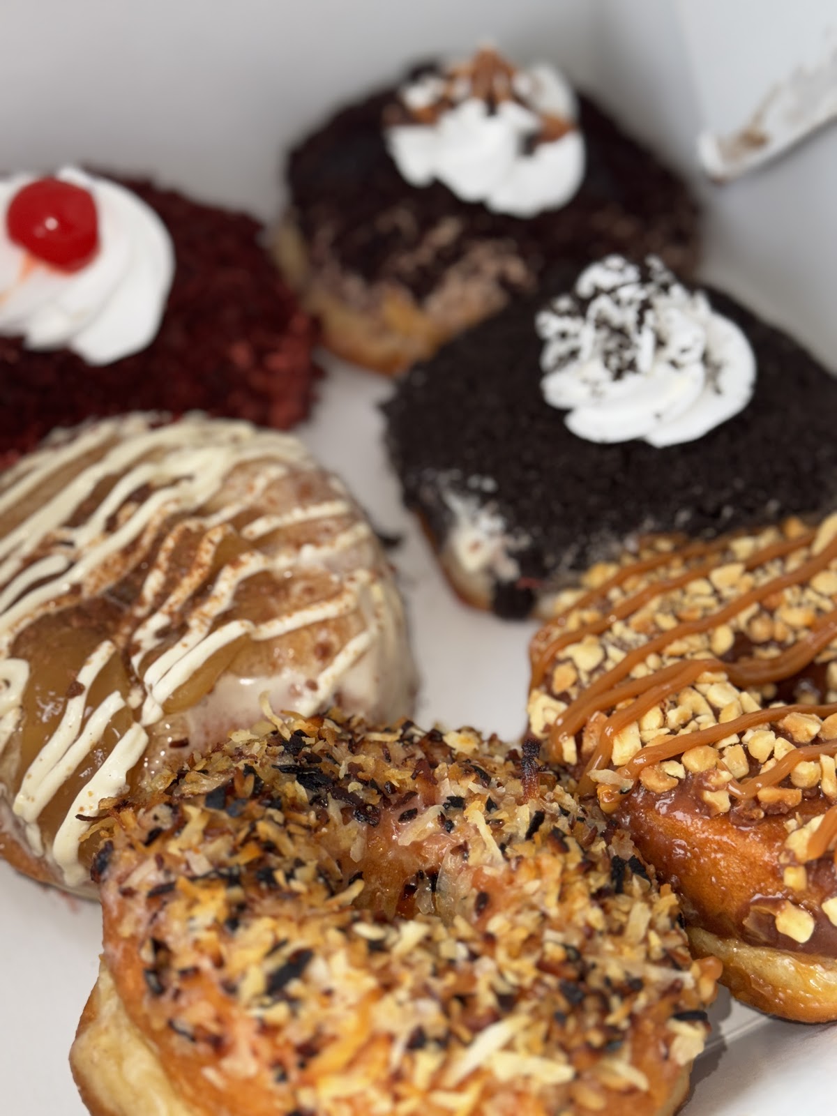 Dotbox Donut photo 5