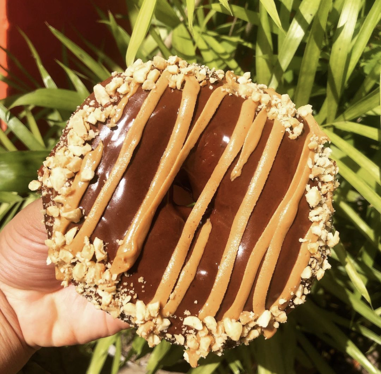 Dotbox Donut photo 6