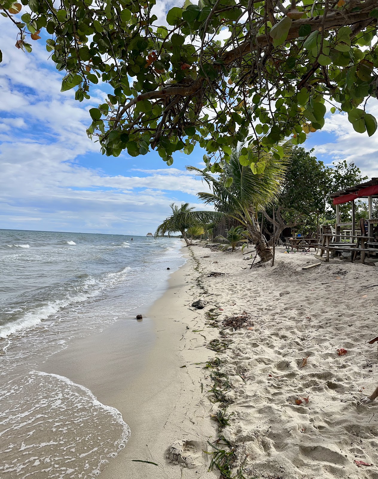 Malula Beach Bar N Grill photo 7