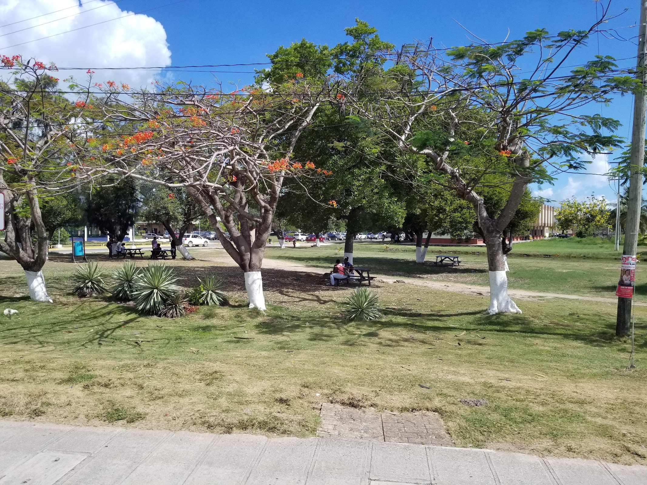 St. John's College Belize photo 5