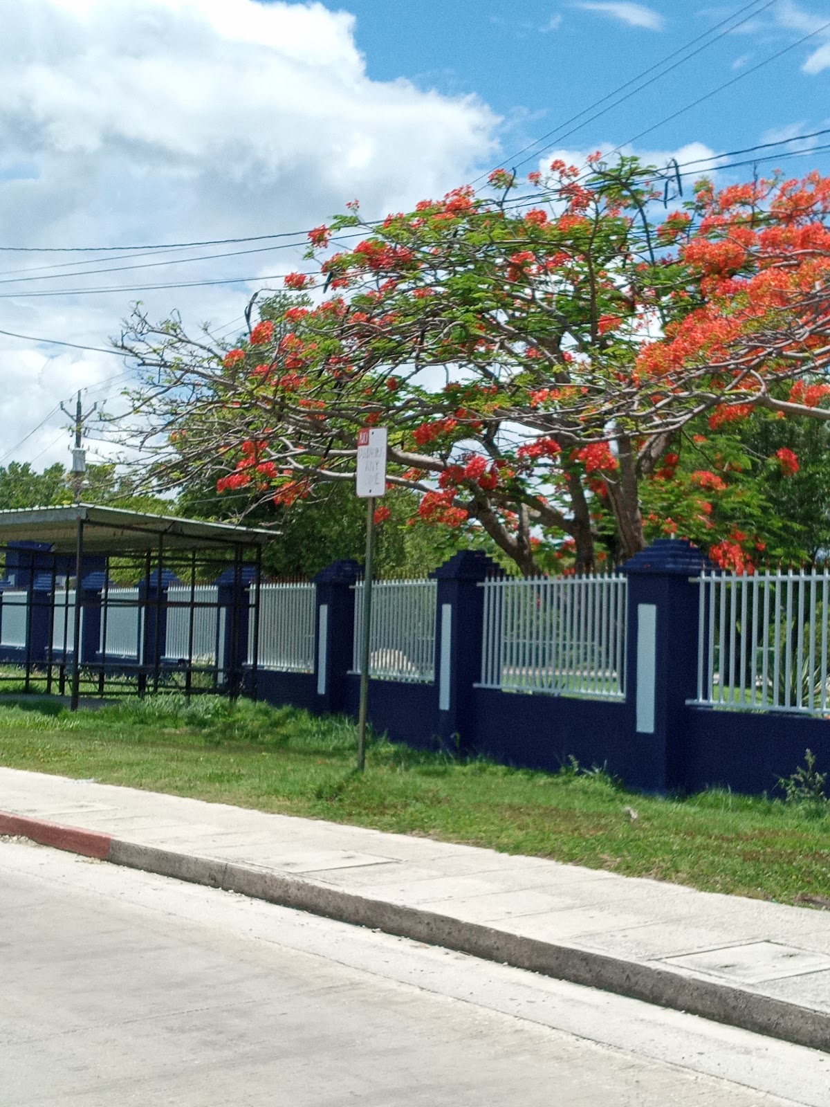 St. John's College Belize photo 2