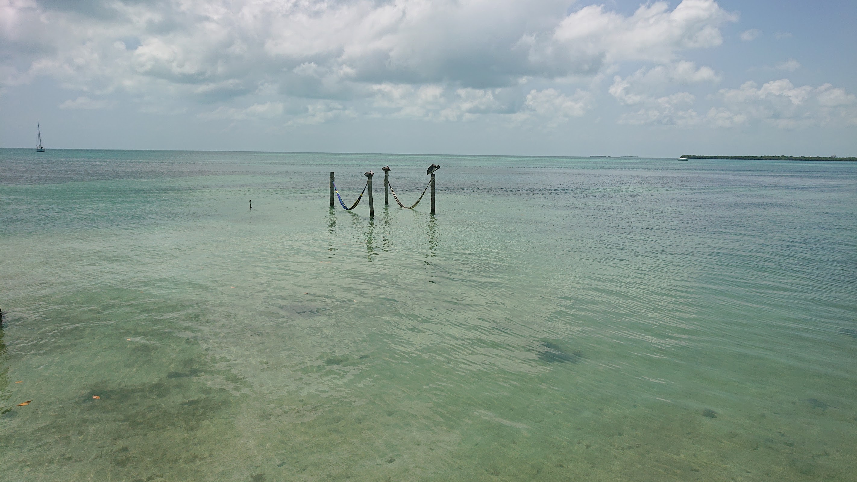 Caye Caulker Sign photo 3