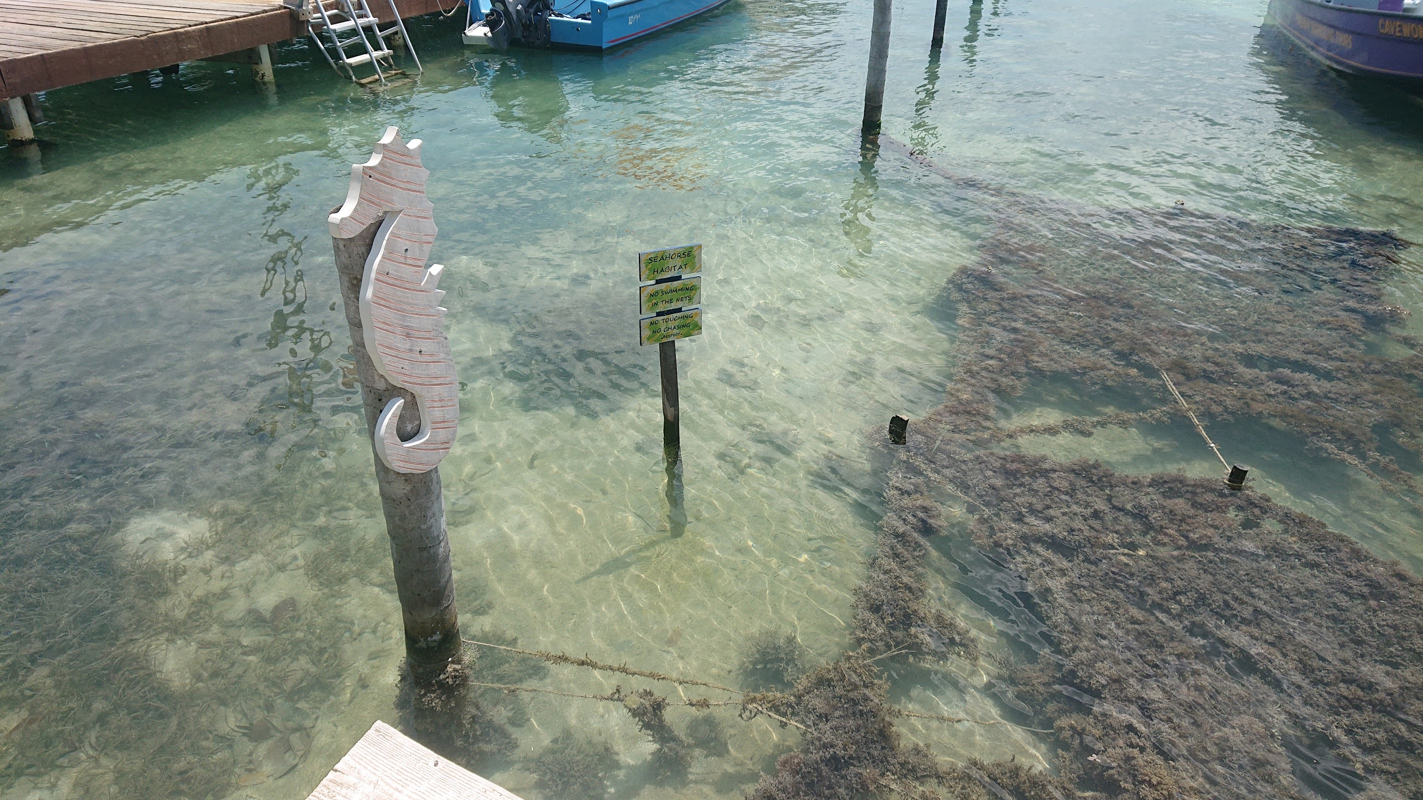 Caye Caulker Sign photo 8
