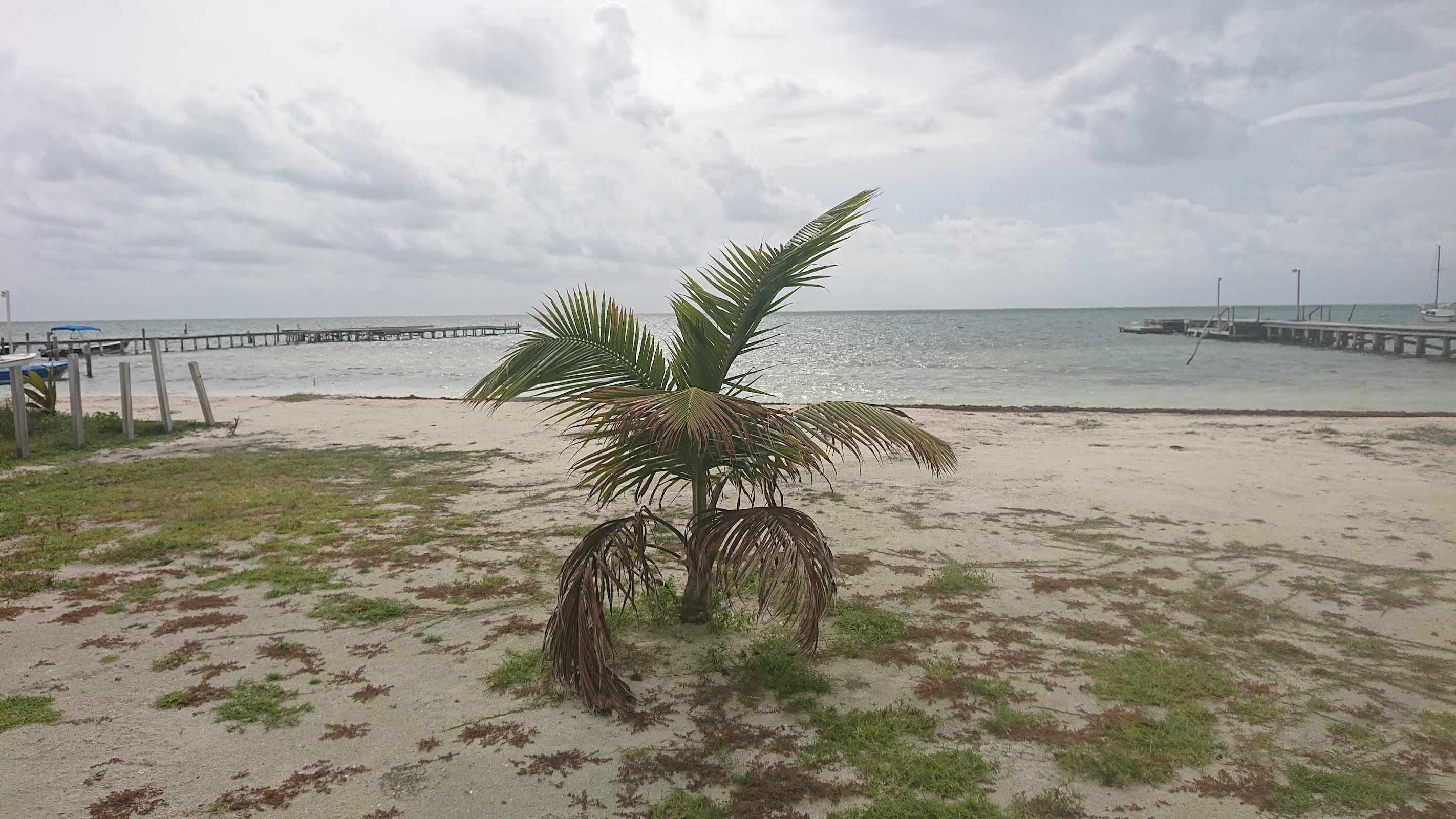 Caye Caulker Sign photo 5
