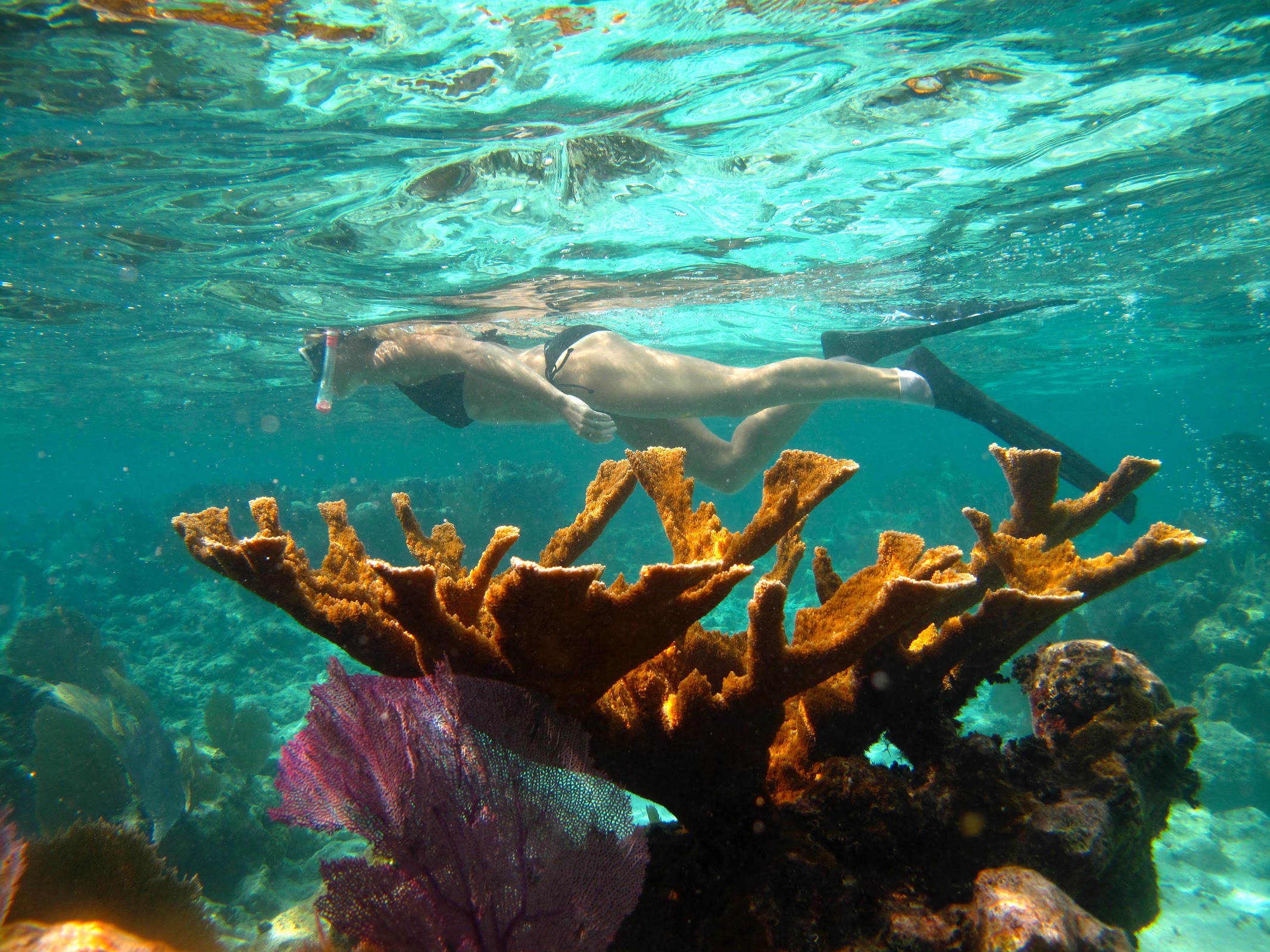 Off The Wall Belize Adventures photo 3