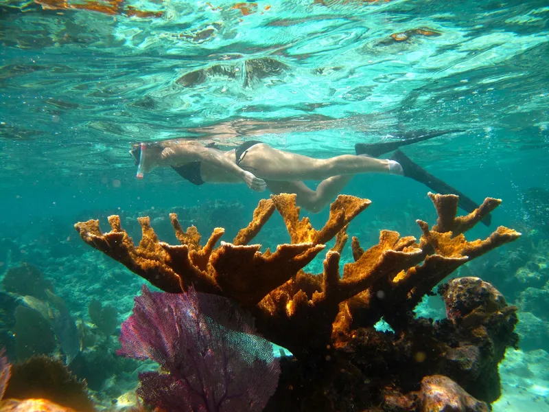 Off The Wall Belize Adventures photo 3