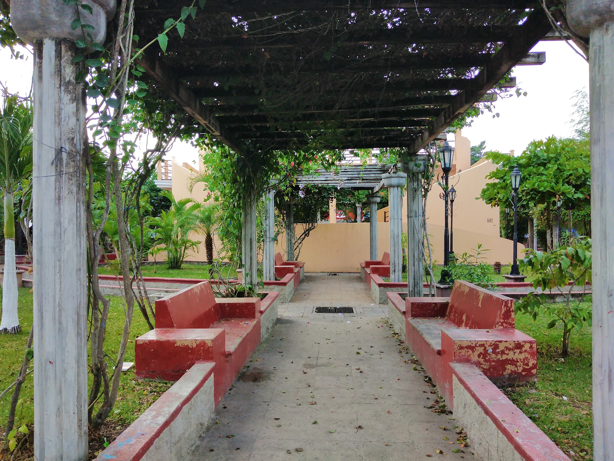 Parque Municipal photo 4