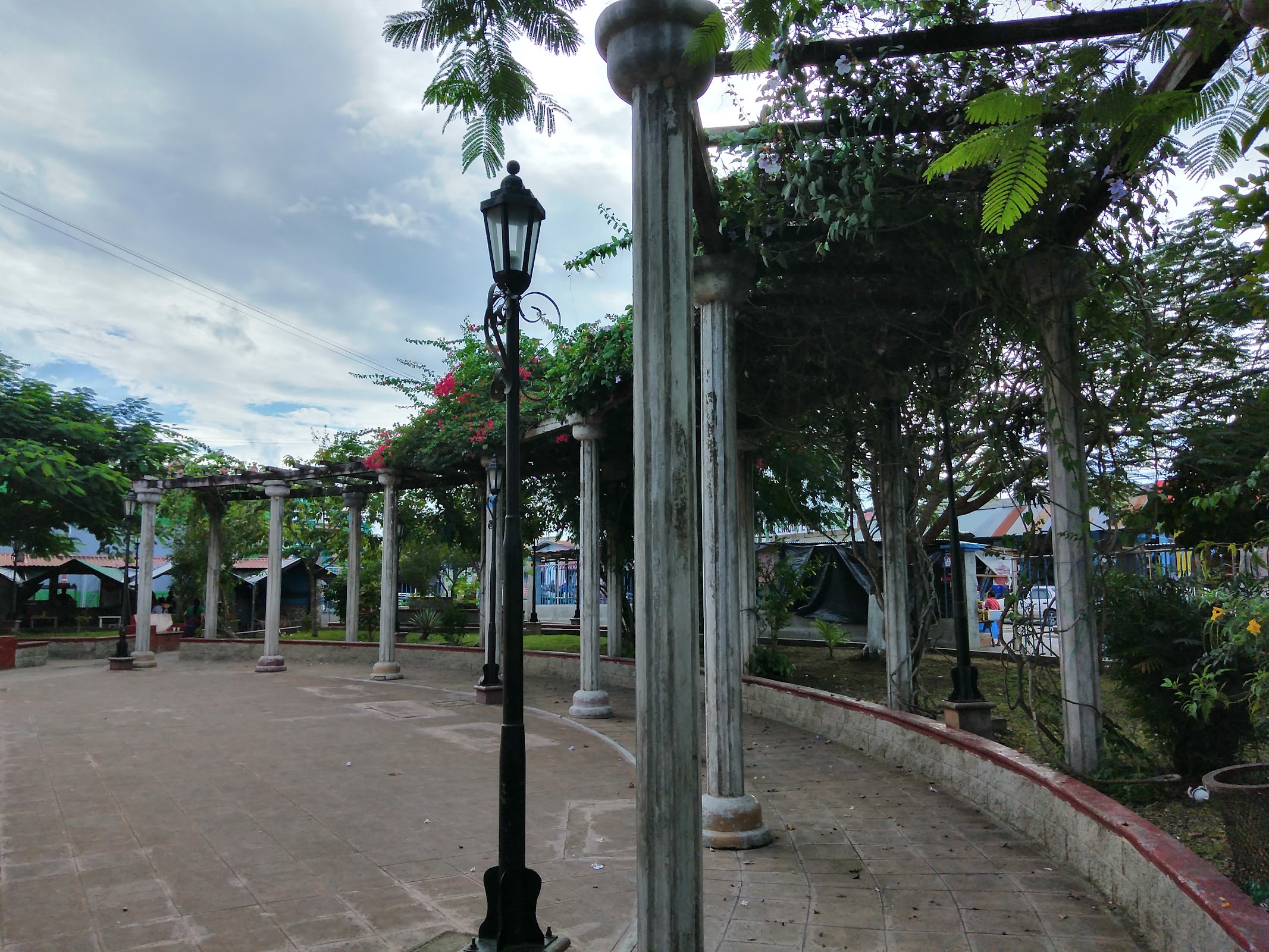 Parque Municipal photo 3