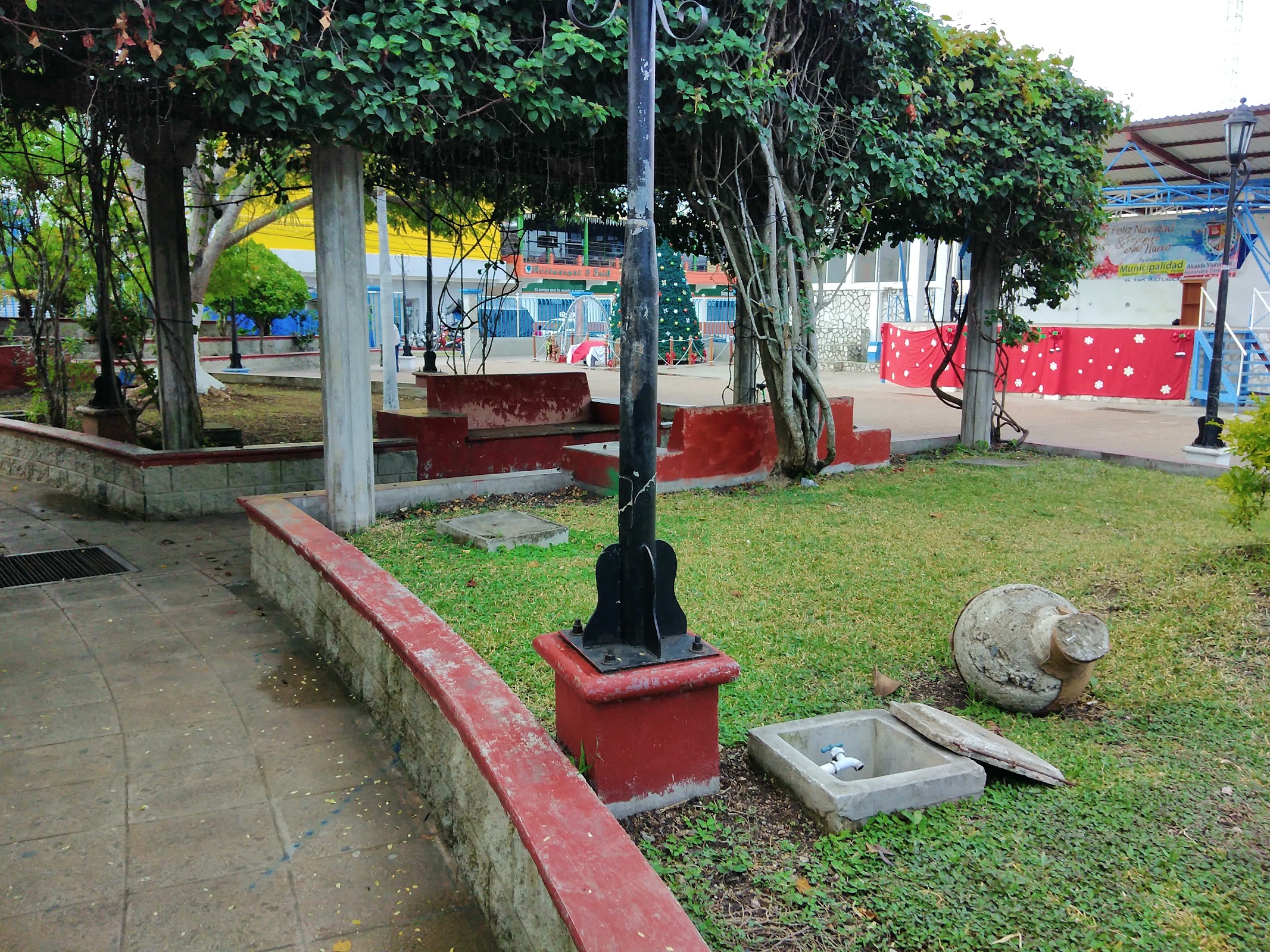 Parque Municipal photo 8