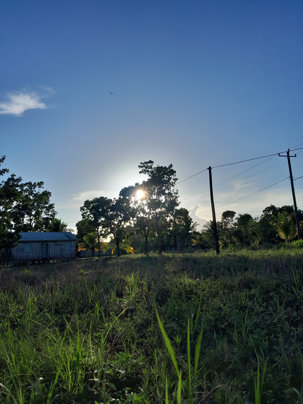 Mae Gordon Park photo 2