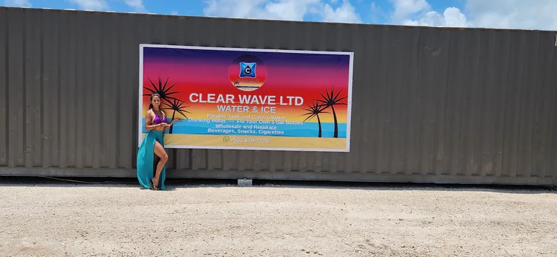 CLEAR WAVE LTD.