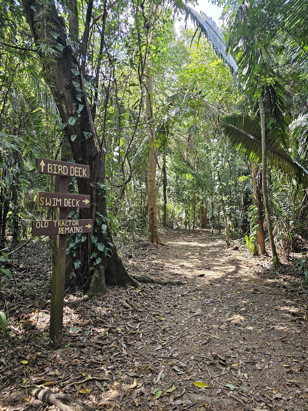 Guanacaste National Park photo 6