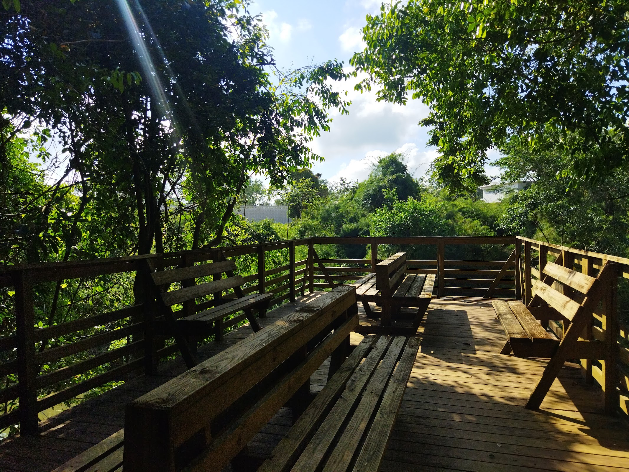 Guanacaste National Park photo 7